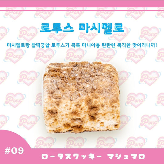 로투스 마시멜로（ロータスクッキー マシュマロ）